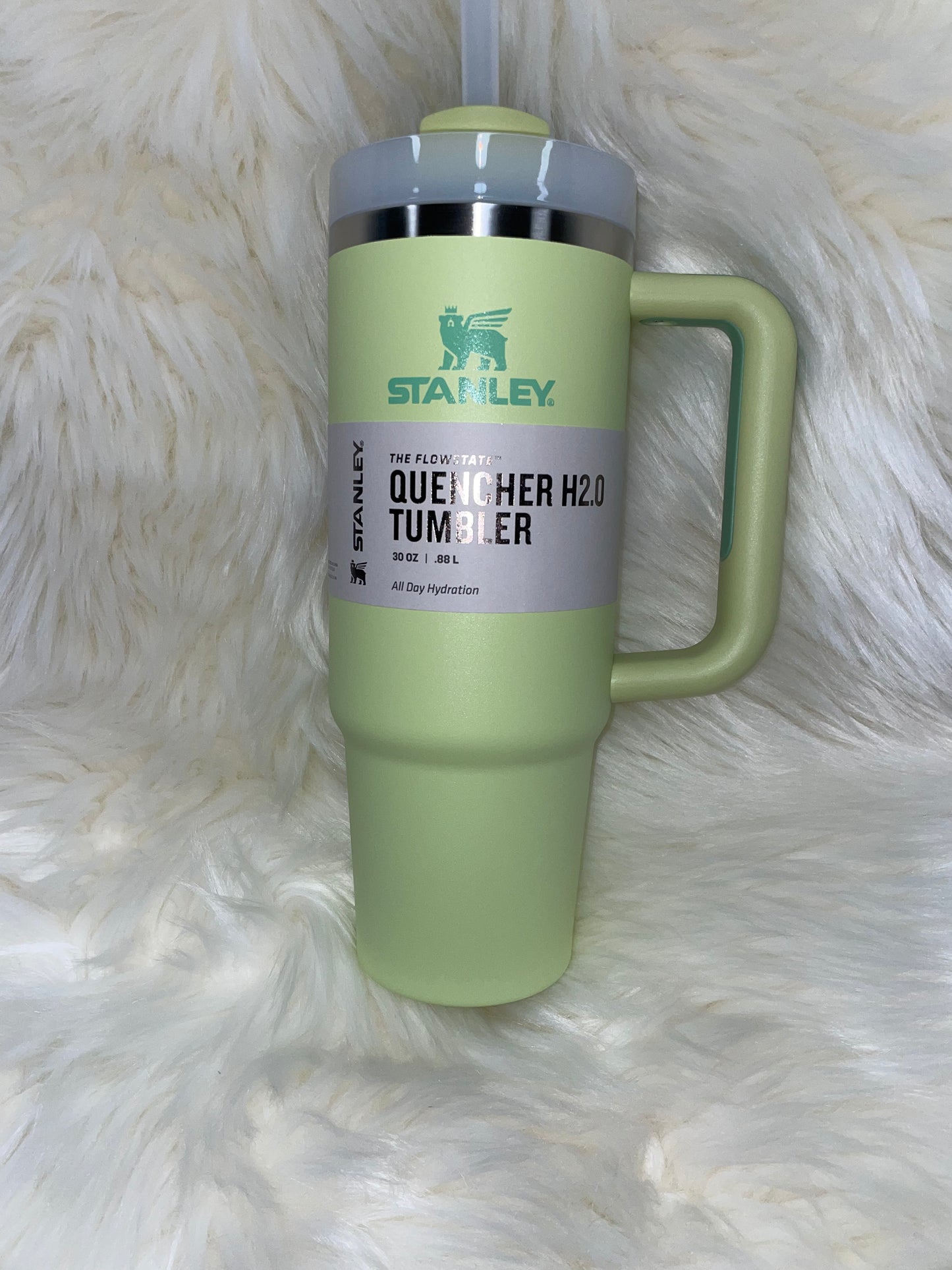 30 oz Stanley cup BLINGED OUT